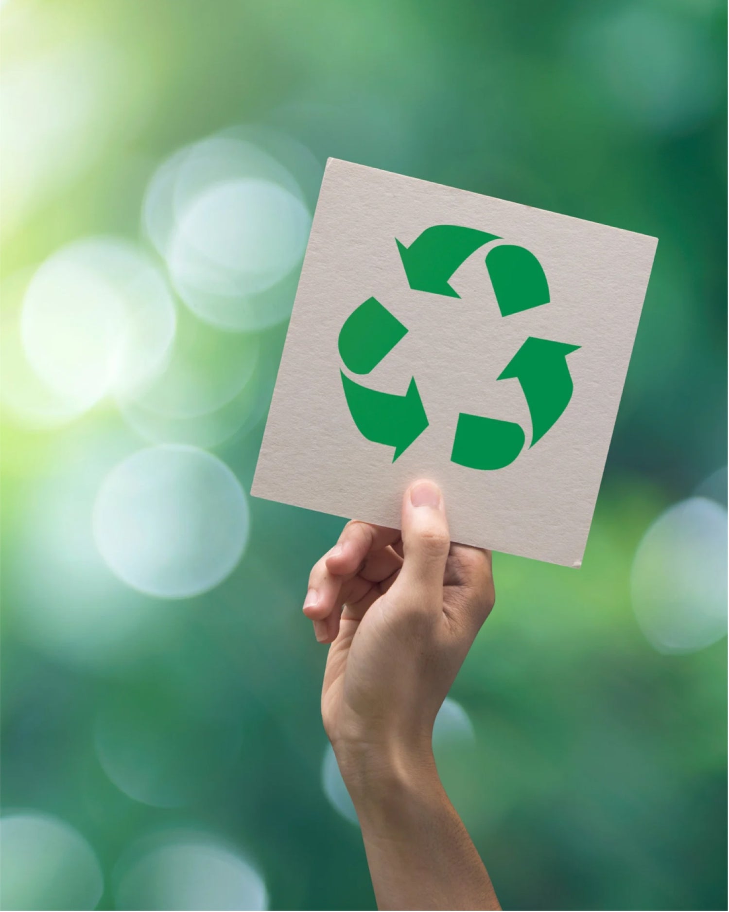 Image of a hand holding up a recycling sign with a blurred forest background.