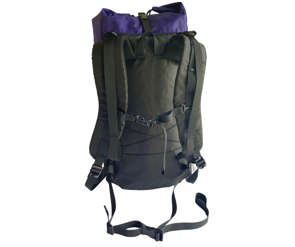 Ready To Ship - Free Range Backpack S/M Torso - Deep Purple & Northern Lights