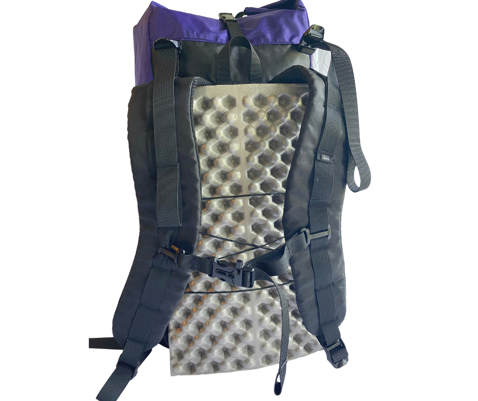 Ready To Ship - Free Range Backpack S/M Torso - Deep Purple & Northern Lights