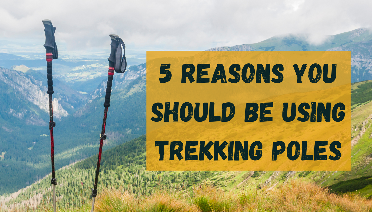 5 Reasons You Should Be Using Trekking Poles Terrain UL