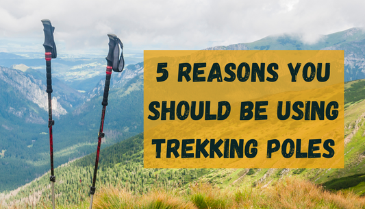 5 Reasons You Should Be Using Trekking Poles