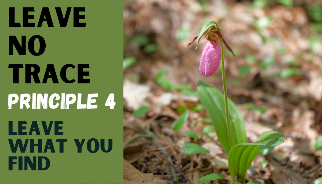 Leave No Trace:  Principle 4 - Leave What You Find