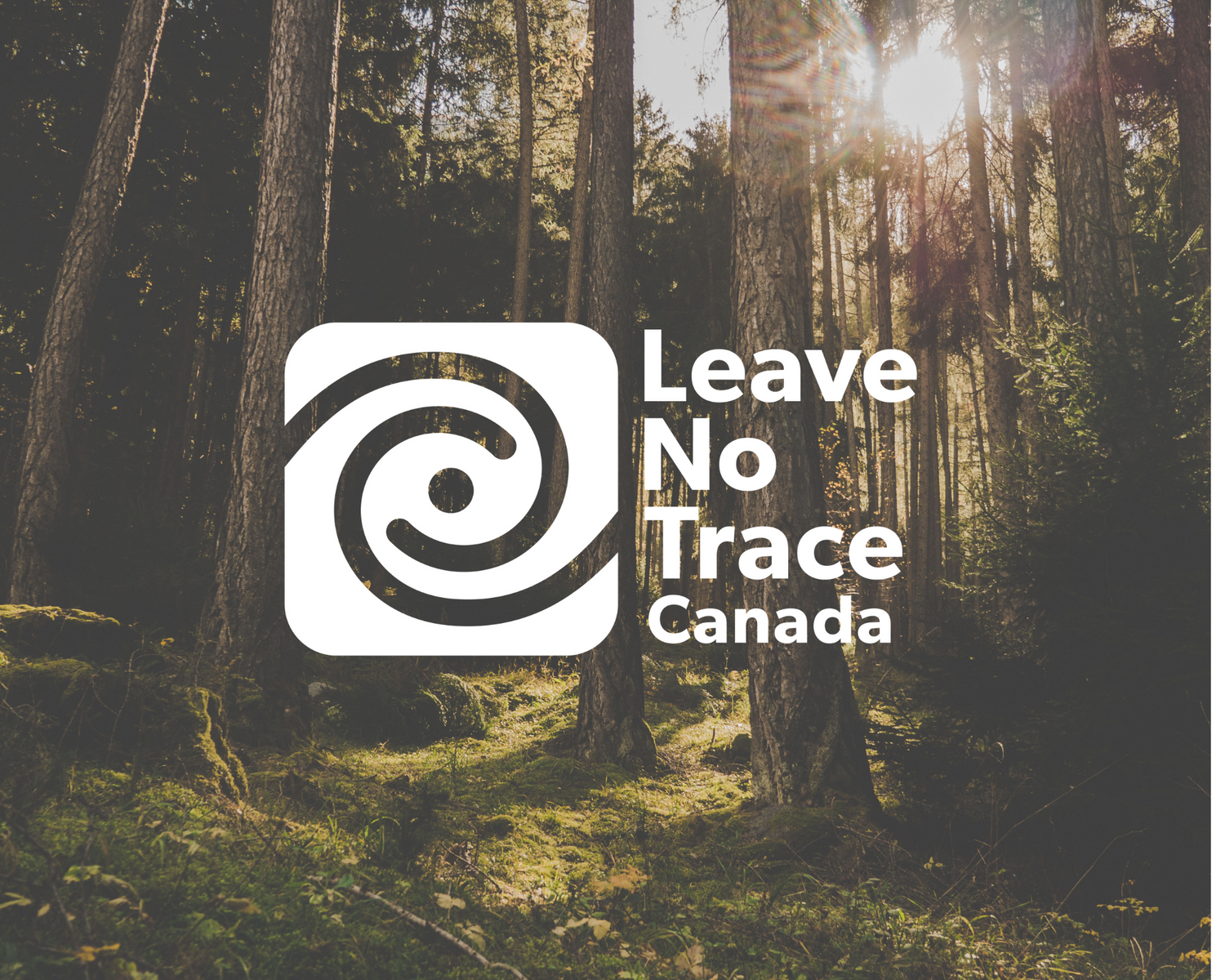 Image of tall trees, mossy forest floor and sun shining through. Leave No Trace Canada logo across image.